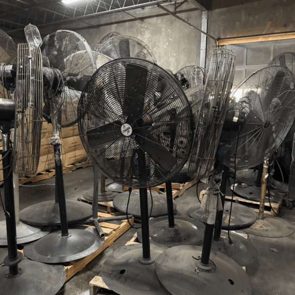 Pedestal Fan